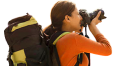 Alt Text