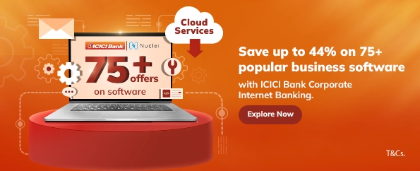 Nuclei SaaS offer